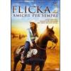 Flicka 2