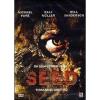 Seed