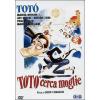 Tot� cerca moglie