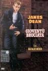 Giovent� bruciata
