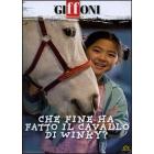 Che fine ha fatto il cavallo di Winky?
