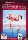 Il mistero dei fenicotteri rosa
