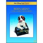 Bernardo, cane ladro e bugiardo