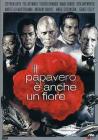 Il papavero � anche un fiore