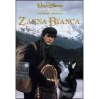 Zanna Bianca, un piccolo grande lupo
