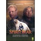 Spirit Bear