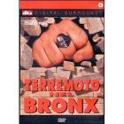 Terremoto nel Bronx