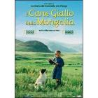 Il cane giallo della Mongolia