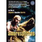 Amores perros