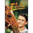 Flicka