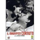Il magnifico cornuto