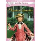 Il piccolo colonnello